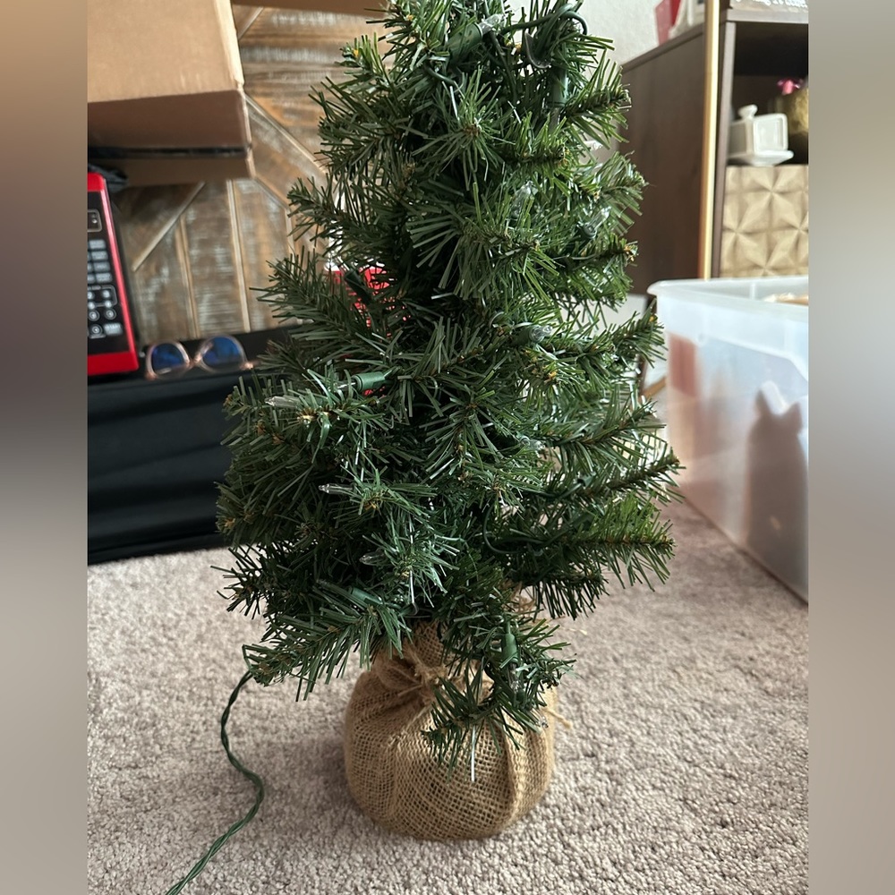 Small Christmas tree